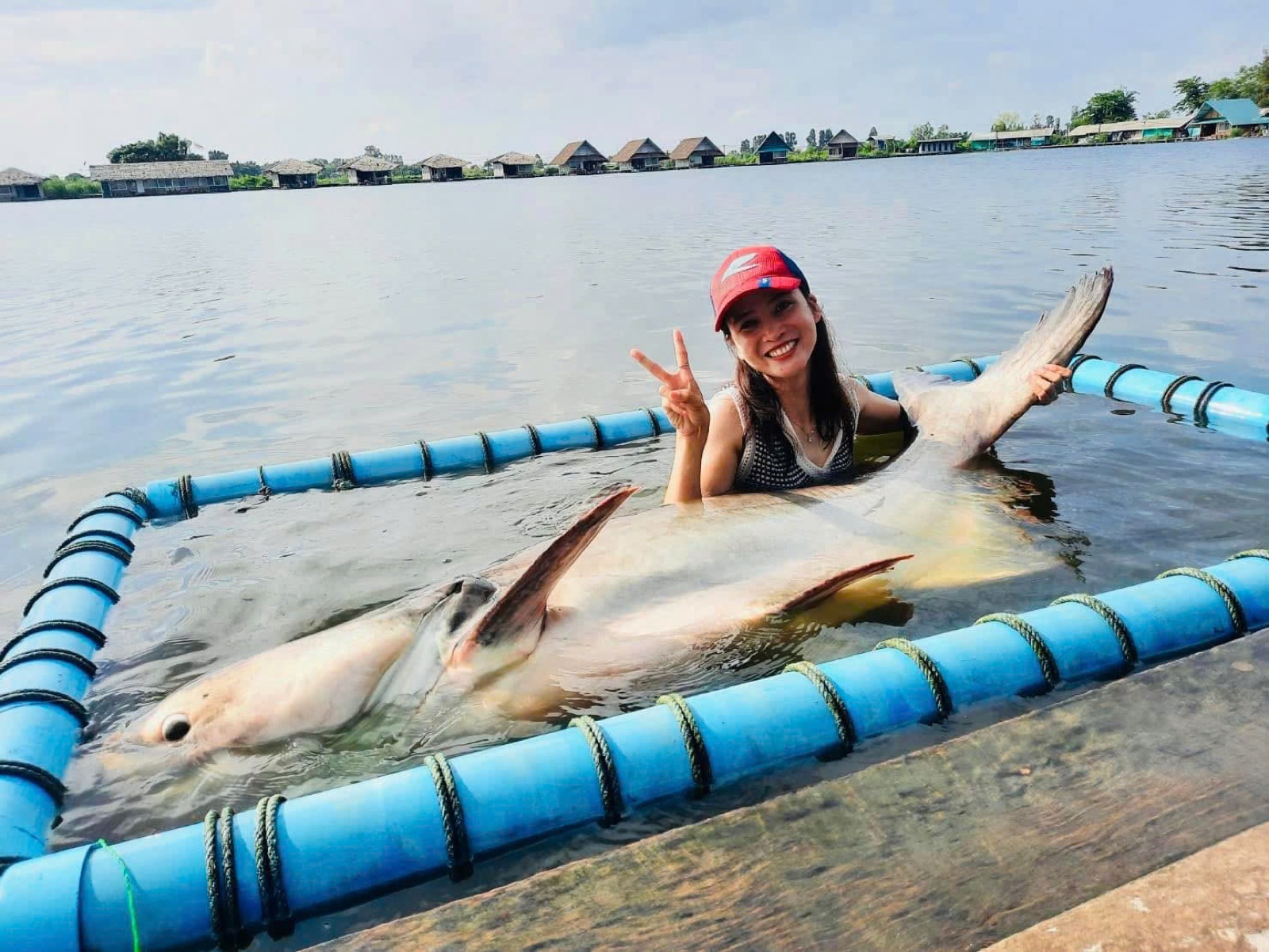 Cô Kiều đi câu — chinh phục cá tra dầu 80kg tại Thái Lan năm 2023